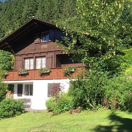 Ferienwohnung Betula Bad-Schwarzsee Екстер'єр фото